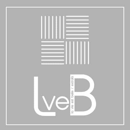 lveb-logo